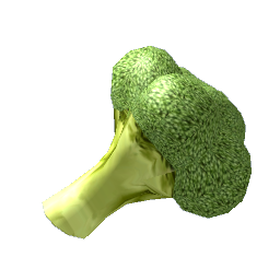 Broccoli Vegetable Piece