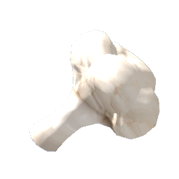 Cauliflower Vegetable Piece