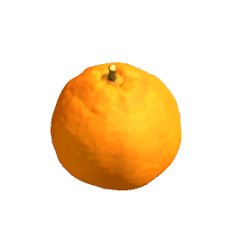 Mandarin Orange Fruit