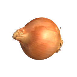 Onion Vegetable