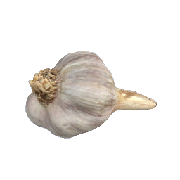 Garlic Clove