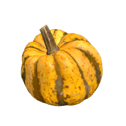 Pumpkin - Yellow Small
