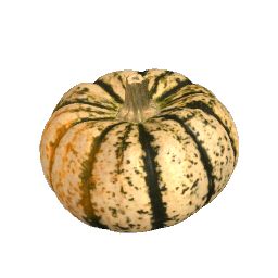 Pumpkin - White Small