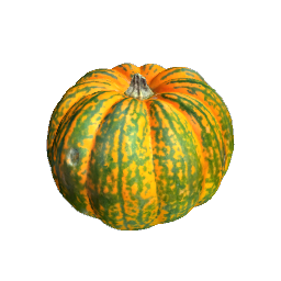 Pumpkin - Orange Green Small