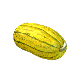Pumpkin Squash - Small