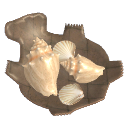 Nautical Seashell Decor