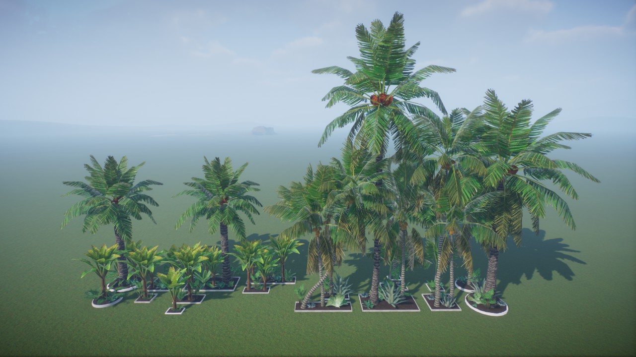 Base - Africa Tropical Small Gardens