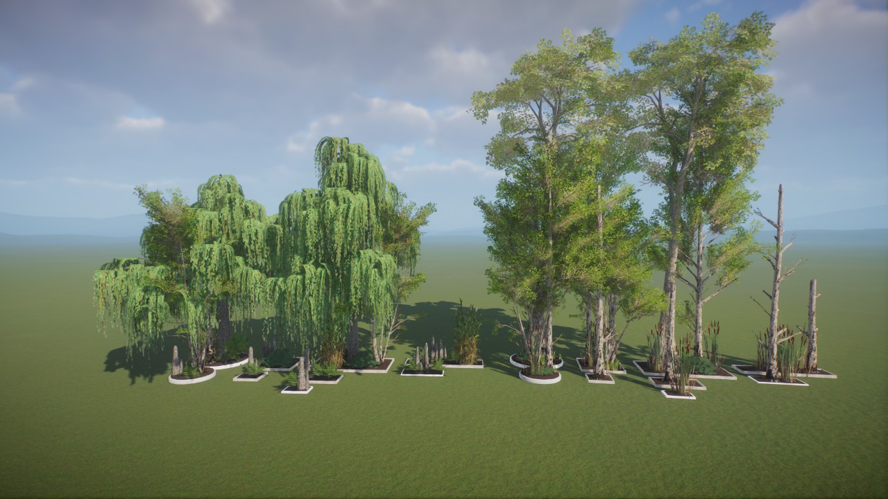 Base - Americas Swamp Small Gardens