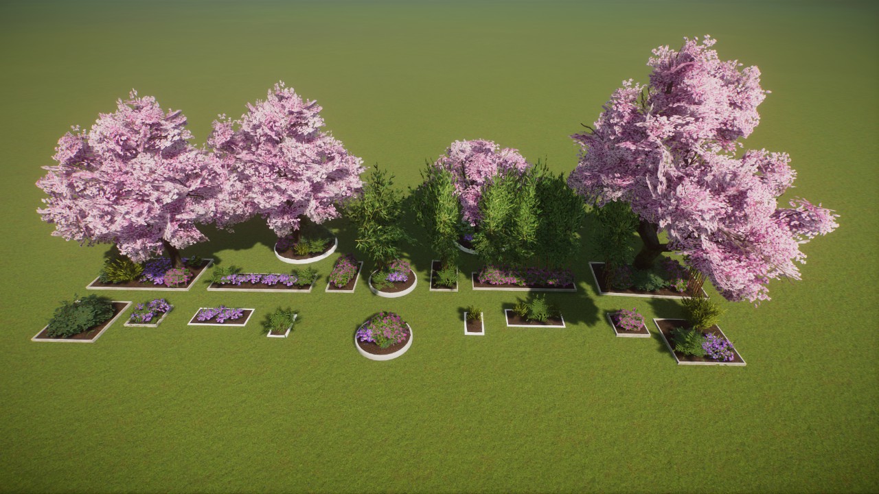Base - Asia Cherry Tree Small Gardens