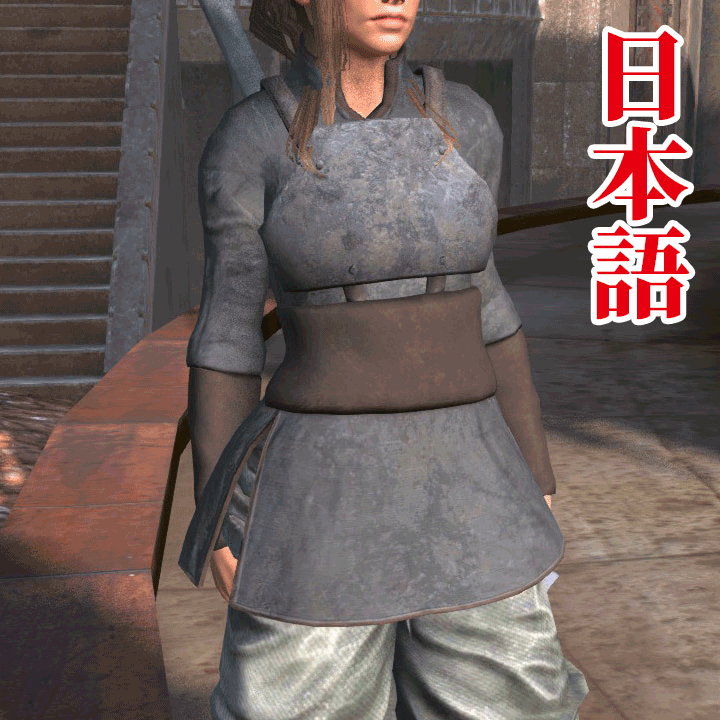 Ashigaru Armour JP