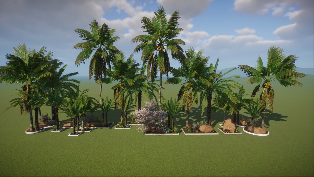 Base - Asia/India Desert Small Gardens