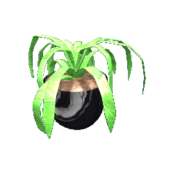 House Plant Black Marble