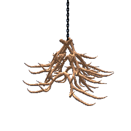 Hanging Deer Antlers