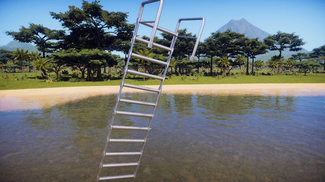 Pool Ladder
