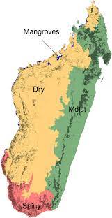 Madagascar 1v1