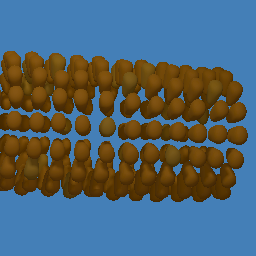corn