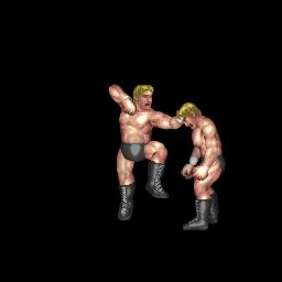 Texas Knuckle Arrow (テキサスナックルアロー)
