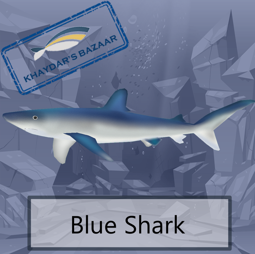 Khaydar's Bazaar - Blue Shark