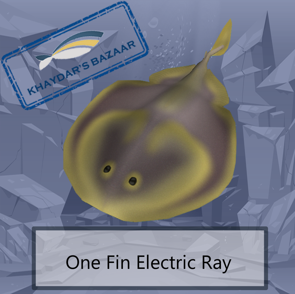 Khaydar's Bazaar - One Fin Electric Ray