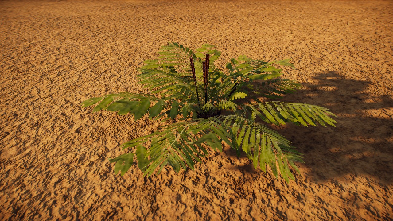 Osmunda