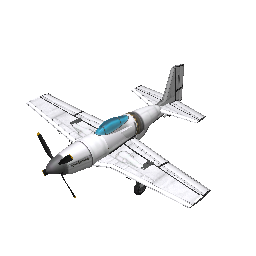 FJRT P51