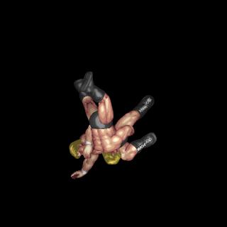 ダブルアームスープレックスB / Double Arm Suplex B