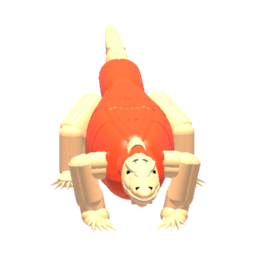 Kooooookuuuuuuuuu
