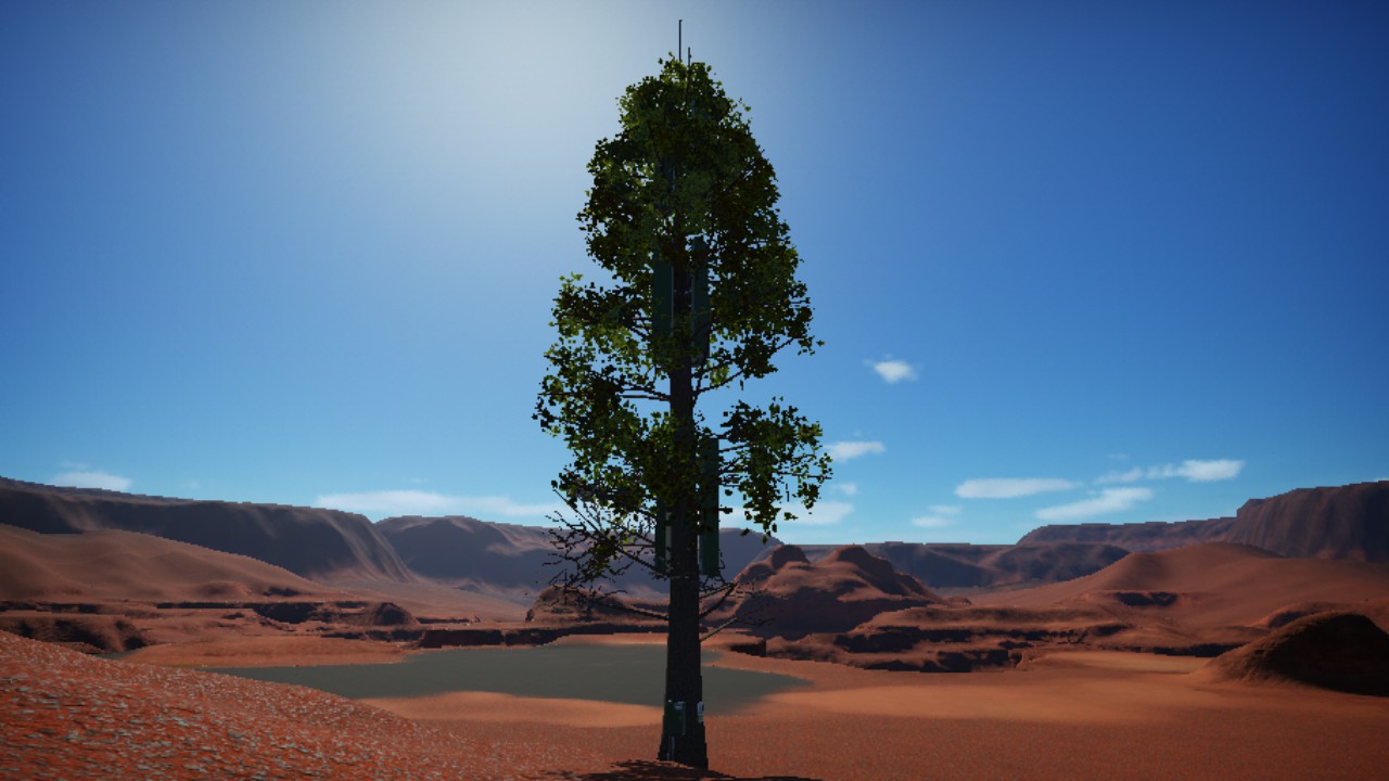 Winder__TV Cell Tower Tree