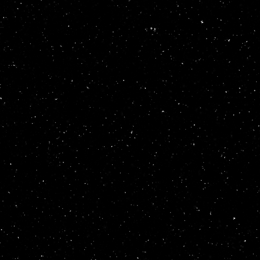 stars preview