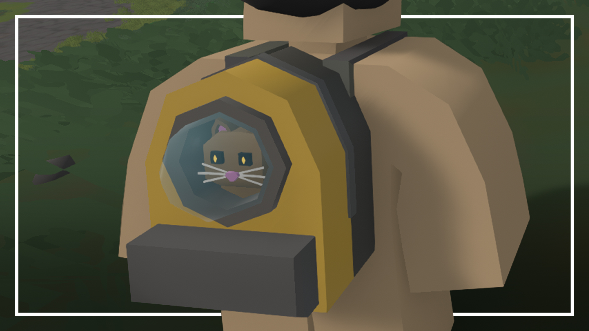 Cat Backpack [Combocrate 2024]