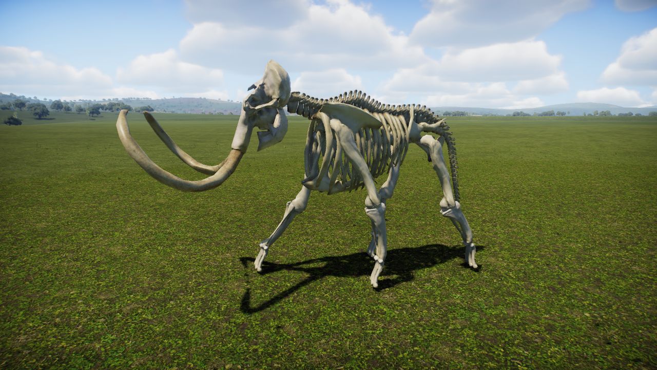 Mammoth Skeleton