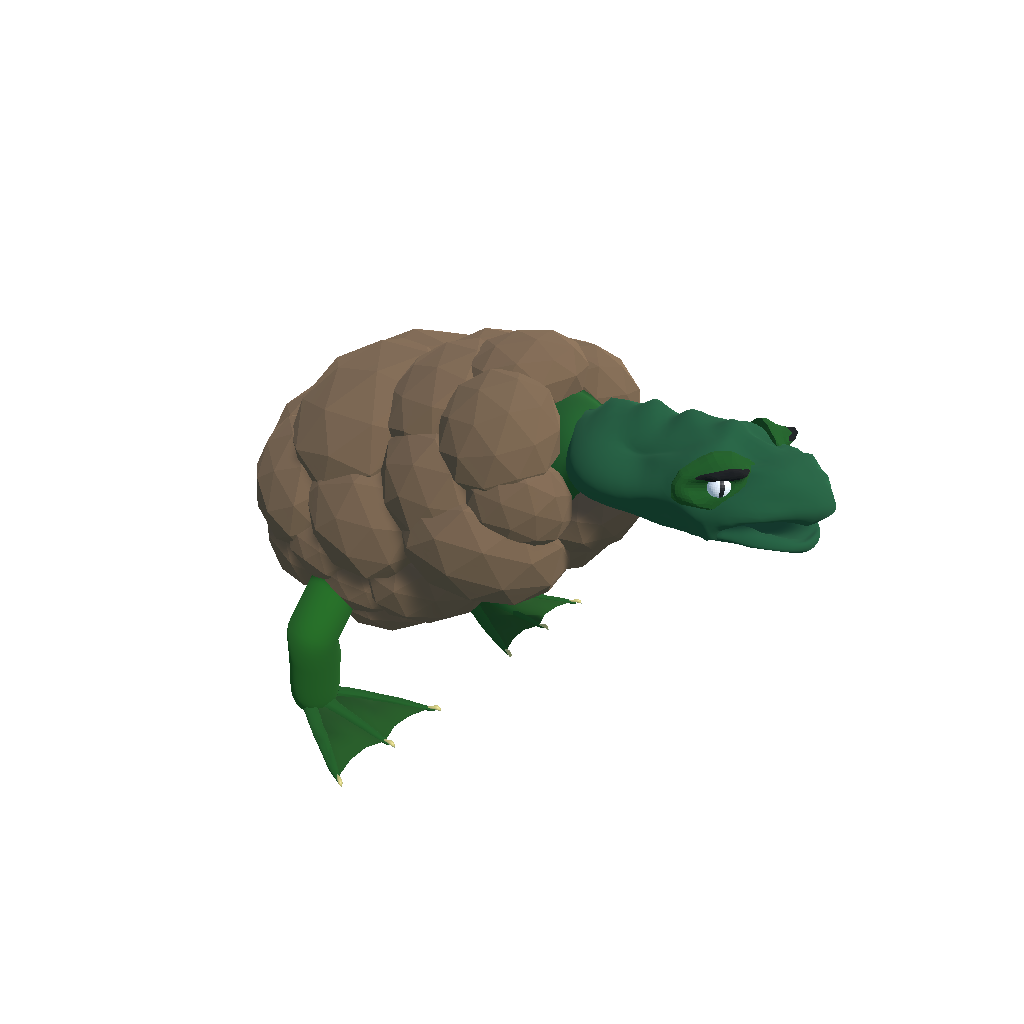 Turtle kiwi