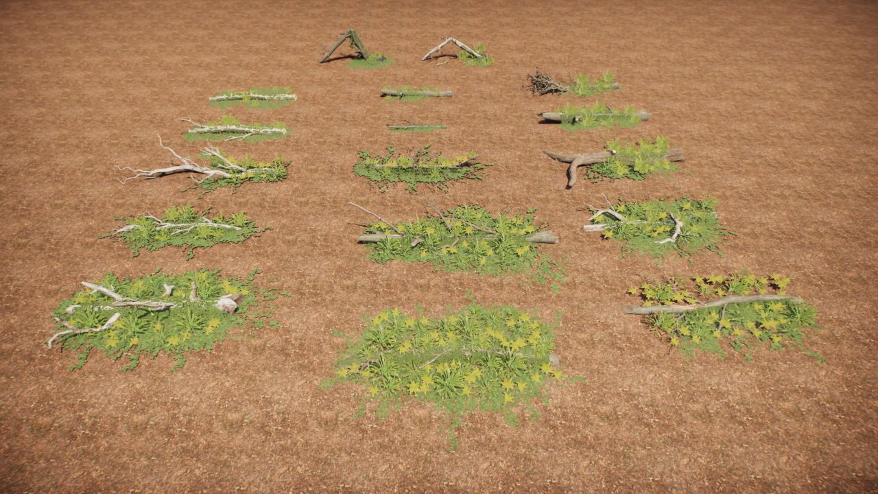 Coastal trunks with ivy 1-17 - Coastal troncos con hiedra 1-17