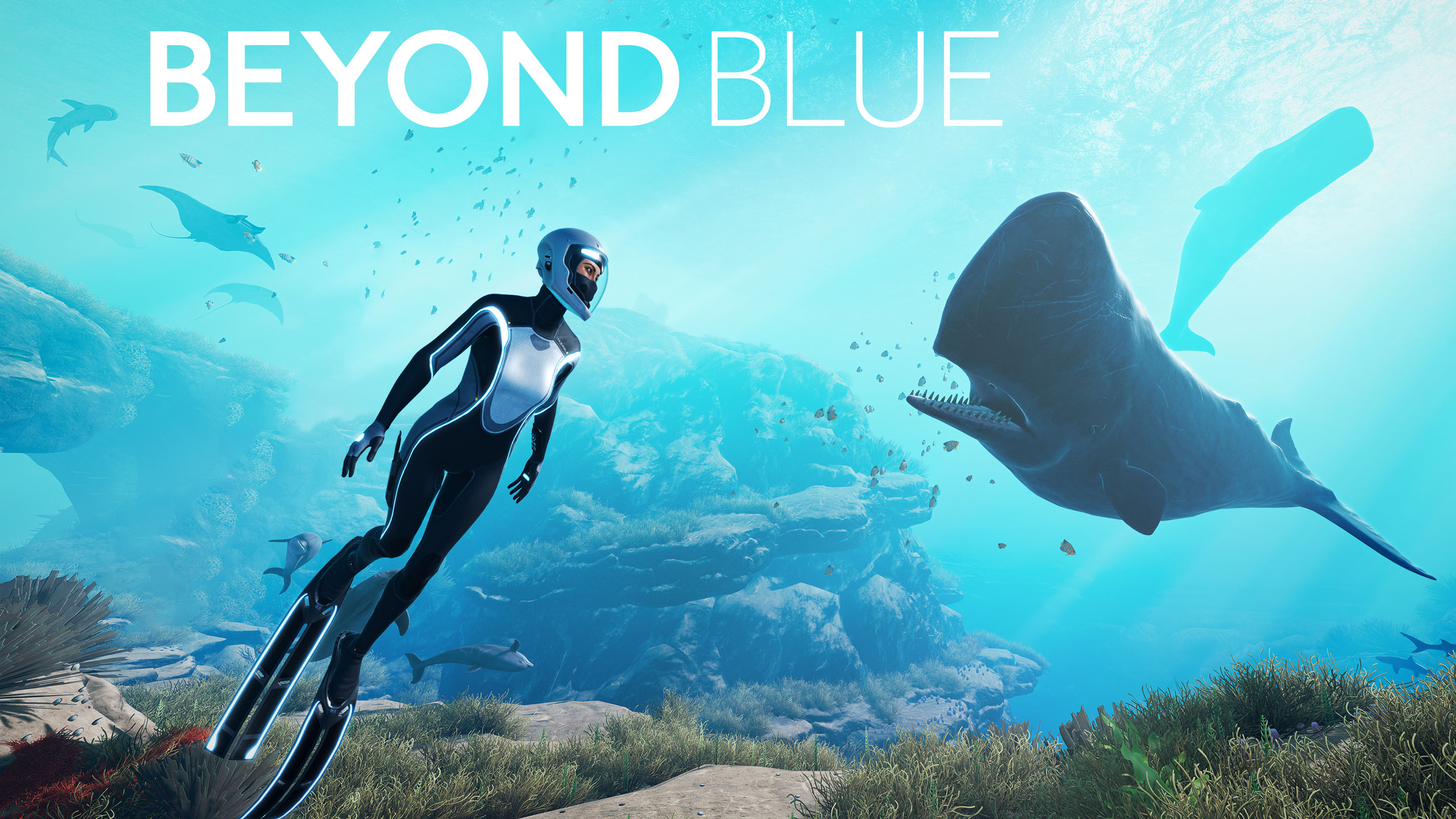 Beyond Blue Models & Props Animated