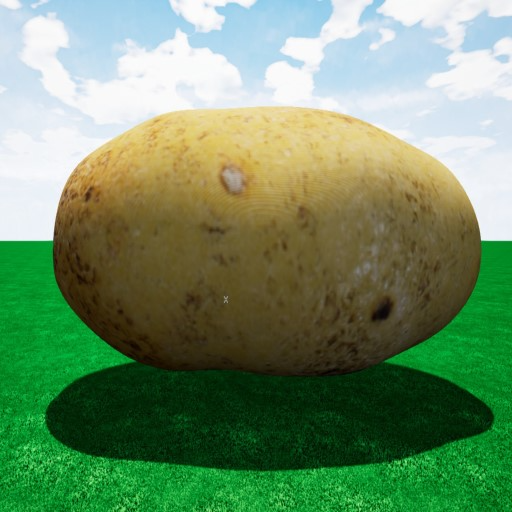 Potato
