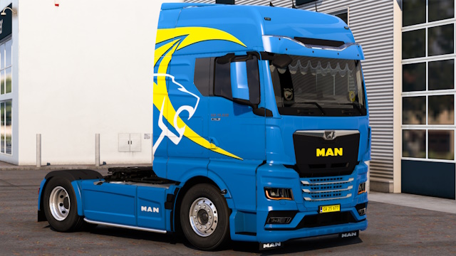 WFTruckstyling MAN2020 Multicolour skin 2