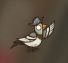 宣告   服务器mod – Don't Starve Together Mod