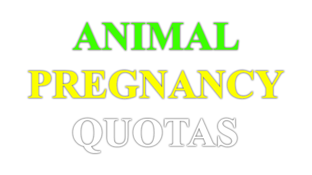 Animal Pregnancy Quotas