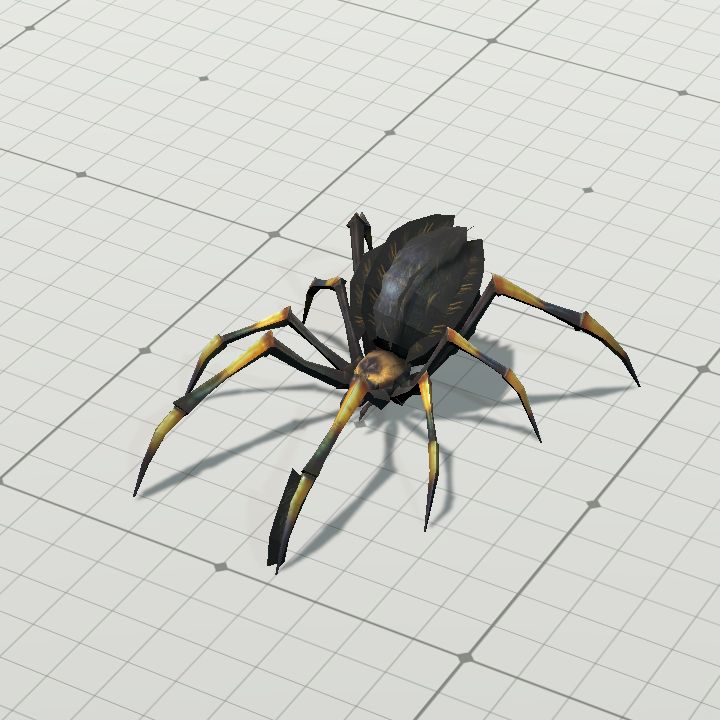 Spider