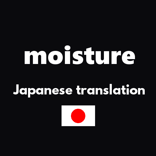 moisture add Japanese translation