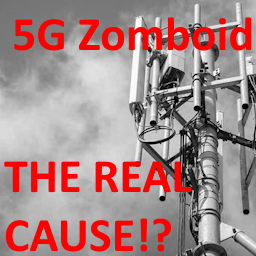 5G Zomboid