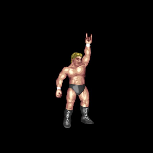 Bullet Club Taunt