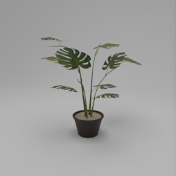 dlX - Monstera