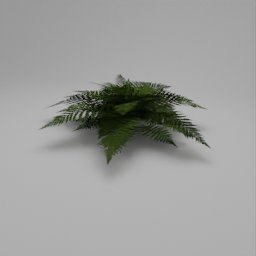 dlX - Fern