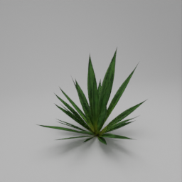 dlX - Agave(Big)