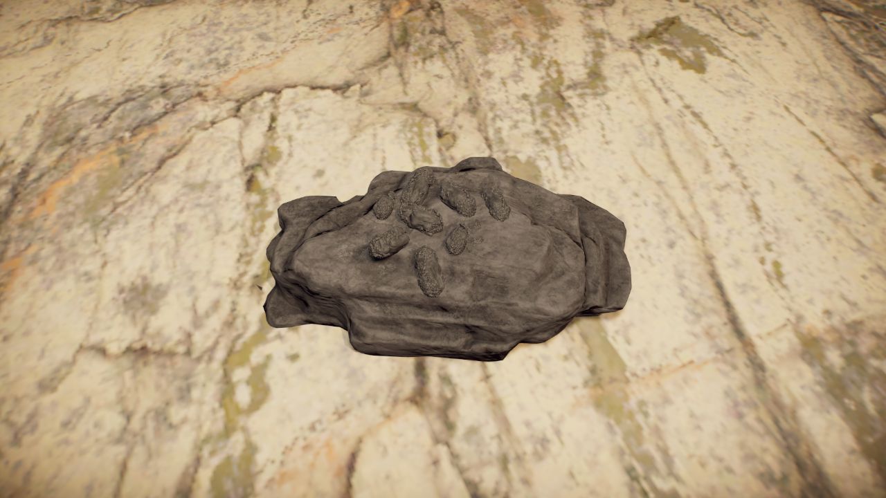 Fossil 7 / Fosil 7