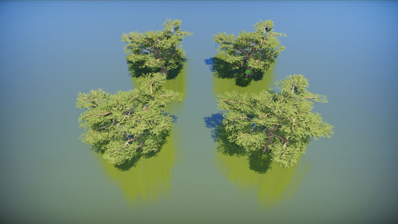 Wetland decoración 22