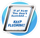Toilets Keep Flushing 1