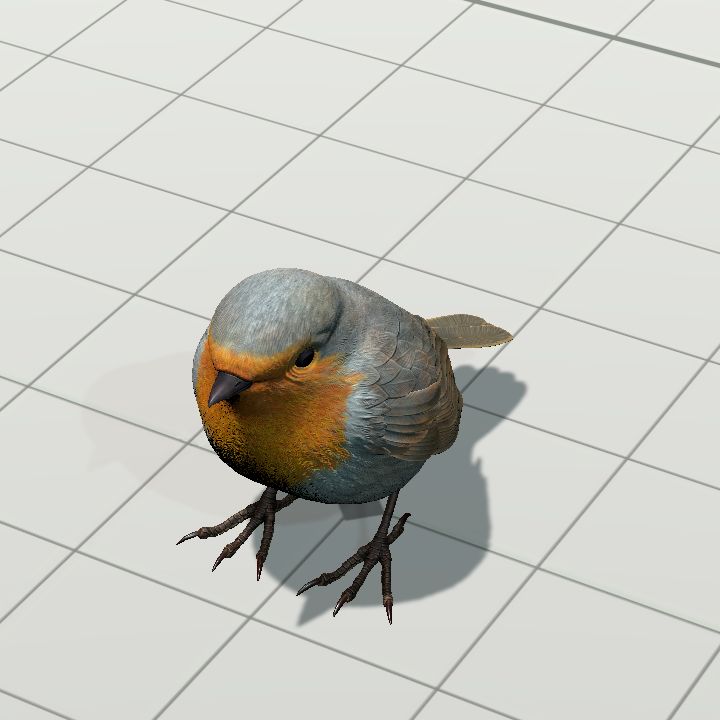 Bird, European Robin
