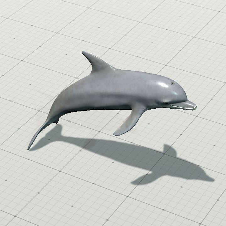 Dolphin